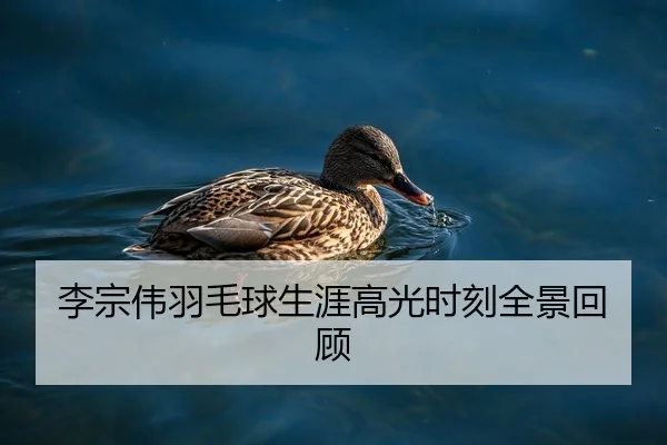 李宗伟羽毛球生涯高光时刻全景回顾