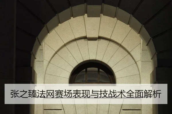 张之臻法网赛场表现与技战术全面解析